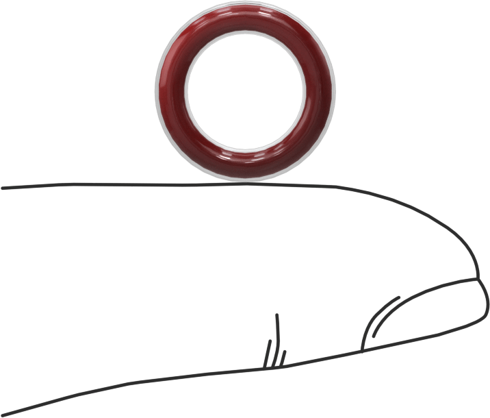 Kimyasala Dayanıklı FEP Kaplı Silikon O-Ring, Düşük Sıcaklık, 3/32 Kesirli Genişlik, Dash No. 110