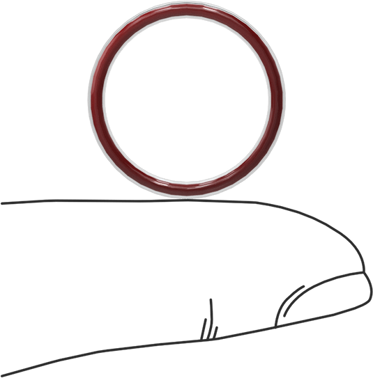 Kimyasala Dayanıklı FEP Kaplı Silikon O-Ring, Düşük Sıcaklık, 1/16 Kesirli Genişlik, Dash No. 017