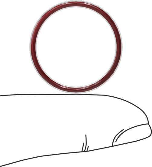 Kimyasala Dayanıklı FEP Kaplı Silikon O-Ring, Düşük Sıcaklık, 1/16 Kesirli Genişlik, Dash No. 019