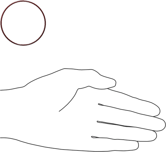 Kimyasala Dayanıklı FEP Kaplı Silikon O-Ring, Düşük Sıcaklık, 1/16 Kesirli Genişlik, Dash No. 032