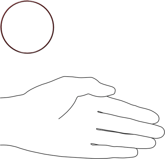 Kimyasala Dayanıklı FEP Kaplı Silikon O-Ring, Düşük Sıcaklık, 1/16 Kesirli Genişlik, Dash No. 035