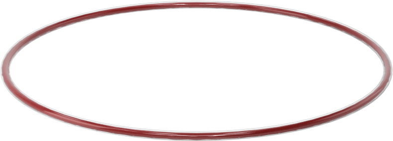 Kimyasala Dayanıklı FEP Kaplı Silikon O-Ring, Düşük Sıcaklık, 1/16 Kesirli Genişlik, Dash No. 041