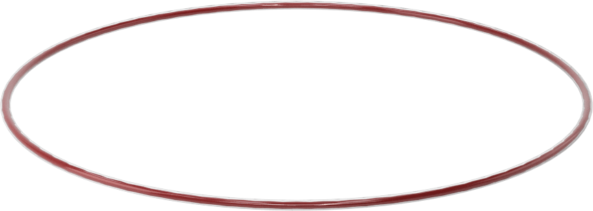 Kimyasala Dayanıklı FEP Kaplı Silikon O-Ring, Düşük Sıcaklık, 1/16 Kesirli Genişlik, Dash No. 046