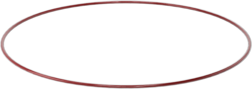 Kimyasala Dayanıklı FEP Kaplı Silikon O-Ring, Düşük Sıcaklık, 1/16 Kesirli Genişlik, Dash No. 047