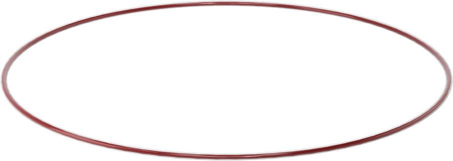 Kimyasala Dayanıklı FEP Kaplı Silikon O-Ring, Düşük Sıcaklık, 1/16 Kesirli Genişlik, Dash No. 049