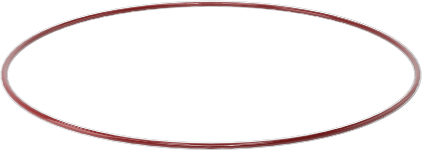 Kimyasala Dayanıklı FEP Kaplı Silikon O-Ring, Düşük Sıcaklık, 1/16 Kesirli Genişlik, Dash No. 045