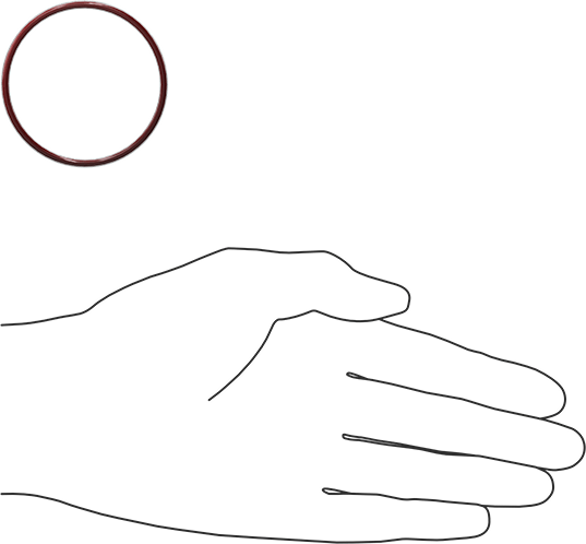 Kimyasala Dayanıklı FEP Kaplı Silikon O-Ring, Düşük Sıcaklık, 3/32 Kesirli Genişlik, Dash No. 134