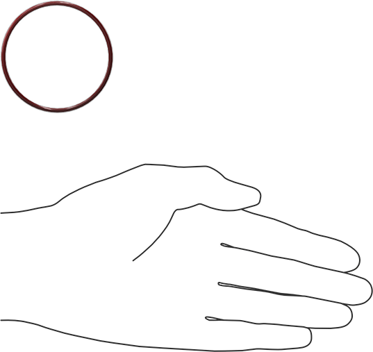 Kimyasala Dayanıklı FEP Kaplı Silikon O-Ring, Düşük Sıcaklık, 3/32 Kesirli Genişlik, Dash No. 136