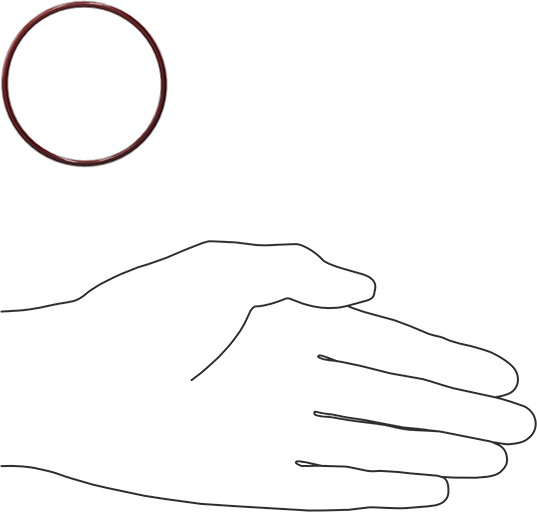 Kimyasala Dayanıklı FEP Kaplı Silikon O-Ring, Düşük Sıcaklık, 3/32 Kesirli Genişlik, Dash No. 137