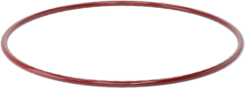 Kimyasala Dayanıklı FEP Kaplı Silikon O-Ring, Düşük Sıcaklık, 3/32 Kesirli Genişlik, Dash No. 153