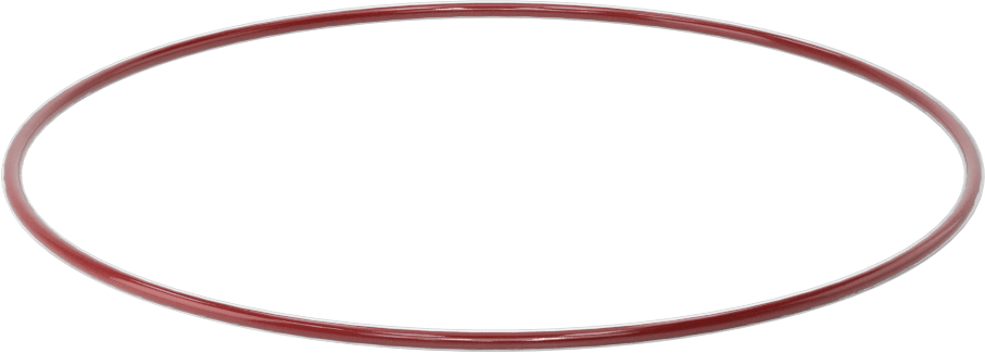 Kimyasala Dayanıklı FEP Kaplı Silikon O-Ring, Düşük Sıcaklık, 3/32 Kesirli Genişlik, Dash No. 159