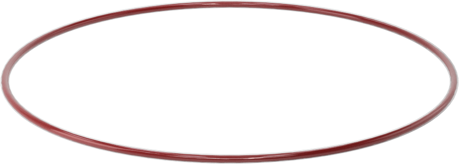 Kimyasala Dayanıklı FEP Kaplı Silikon O-Ring, Düşük Sıcaklık, 3/32 Kesirli Genişlik, Dash No. 161