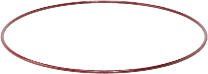 Kimyasala Dayanıklı FEP Kaplı Silikon O-Ring, Düşük Sıcaklık, 3/32 Kesirli Genişlik, Dash No. 163