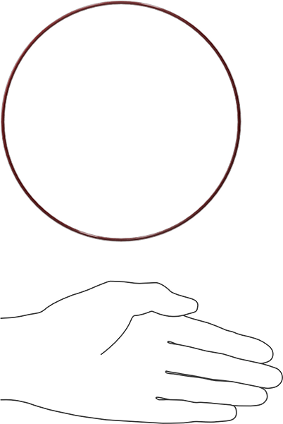 Kimyasala Dayanıklı FEP Kaplı Silikon O-Ring, Düşük Sıcaklık, 3/32 Kesirli Genişlik, Dash No. 163