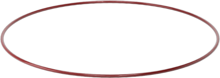 Kimyasala Dayanıklı FEP Kaplı Silikon O-Ring, Düşük Sıcaklık, 3/32 Kesirli Genişlik, Dash No. 165