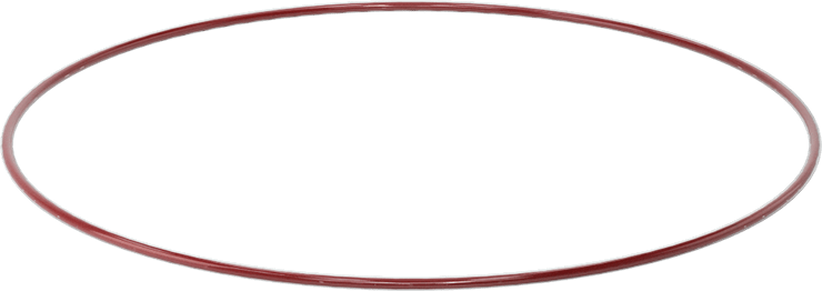 Kimyasala Dayanıklı FEP Kaplı Silikon O-Ring, Düşük Sıcaklık, 3/32 Kesirli Genişlik, Dash No. 166