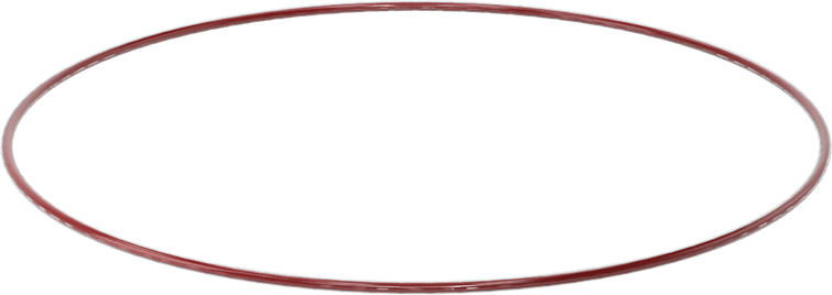 Kimyasala Dayanıklı FEP Kaplı Silikon O-Ring, Düşük Sıcaklık, 3/32 Kesirli Genişlik, Dash No. 168