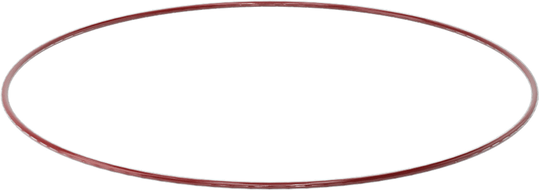 Kimyasala Dayanıklı FEP Kaplı Silikon O-Ring, Düşük Sıcaklık, 3/32 Kesirli Genişlik, Dash No. 169