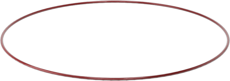 Kimyasala Dayanıklı FEP Kaplı Silikon O-Ring, Düşük Sıcaklık, 3/32 Kesirli Genişlik, Dash No. 171