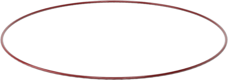 Kimyasala Dayanıklı FEP Kaplı Silikon O-Ring, Düşük Sıcaklık, 3/32 Kesirli Genişlik, Dash No. 172