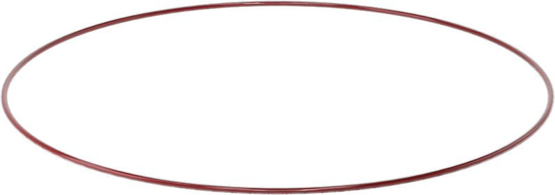 Kimyasala Dayanıklı FEP Kaplı Silikon O-Ring, Düşük Sıcaklık, 3/32 Kesirli Genişlik, Dash No. 174