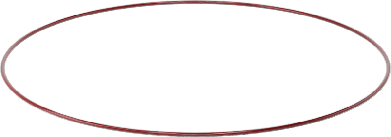 Kimyasala Dayanıklı FEP Kaplı Silikon O-Ring, Düşük Sıcaklık, 3/32 Kesirli Genişlik, Dash No. 175