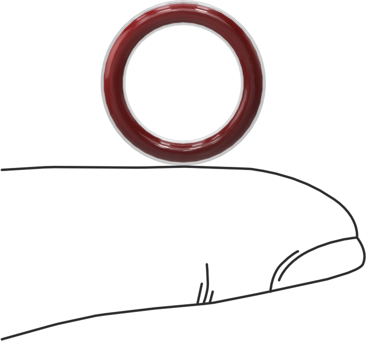 Kimyasala Dayanıklı FEP Kaplı Silikon O-Ring, Düşük Sıcaklık, 3/32 Kesirli Genişlik, Dash No. 112