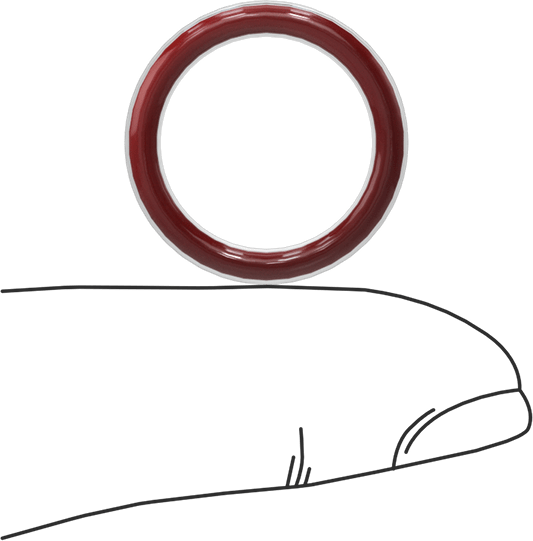 Kimyasala Dayanıklı FEP Kaplı Silikon O-Ring, Düşük Sıcaklık, 3/32 Kesirli Genişlik, Dash No. 114