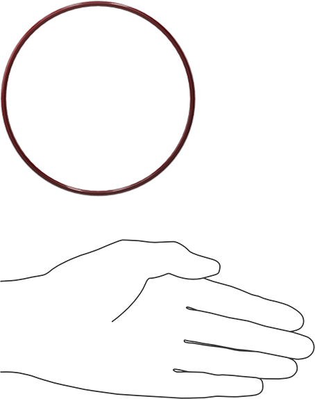 Kimyasala Dayanıklı FEP Kaplı Silikon O-Ring, Düşük Sıcaklık, 1/8 Kesirli Genişlik, Dash No. 244