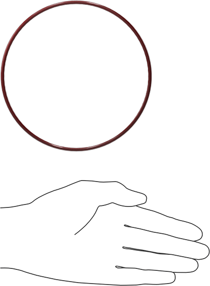 Kimyasala Dayanıklı FEP Kaplı Silikon O-Ring, Düşük Sıcaklık, 1/8 Kesirli Genişlik, Dash No. 250