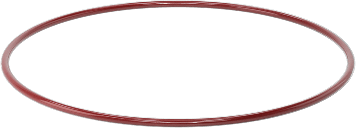 Kimyasala Dayanıklı FEP Kaplı Silikon O-Ring, Düşük Sıcaklık, 1/8 Kesirli Genişlik, Dash No. 256