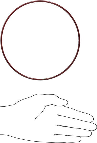 Kimyasala Dayanıklı FEP Kaplı Silikon O-Ring, Düşük Sıcaklık, 1/8 Kesirli Genişlik, Dash No. 256