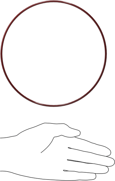 Kimyasala Dayanıklı FEP Kaplı Silikon O-Ring, Düşük Sıcaklık, 1/8 Kesirli Genişlik, Dash No. 260