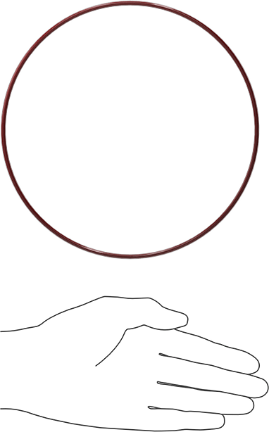 Kimyasala Dayanıklı FEP Kaplı Silikon O-Ring, Düşük Sıcaklık, 1/8 Kesirli Genişlik, Dash No. 261