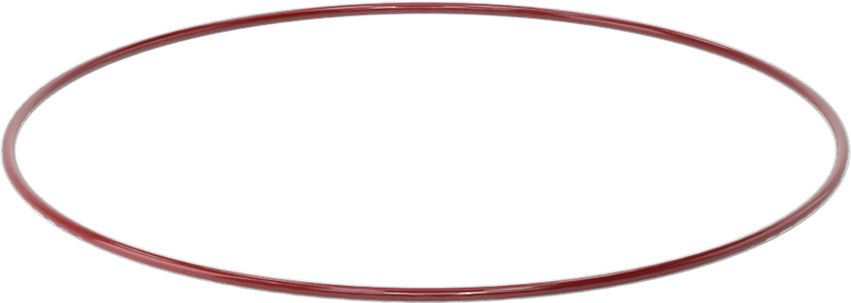 Kimyasala Dayanıklı FEP Kaplı Silikon O-Ring, Düşük Sıcaklık, 1/8 Kesirli Genişlik, Dash No. 266