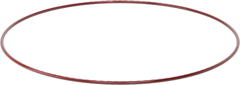 Kimyasala Dayanıklı FEP Kaplı Silikon O-Ring, Düşük Sıcaklık, 1/8 Kesirli Genişlik, Dash No. 273