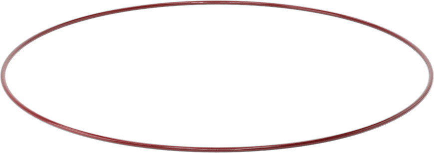 Kimyasala Dayanıklı FEP Kaplı Silikon O-Ring, Düşük Sıcaklık, 1/8 Kesirli Genişlik, Dash No. 278