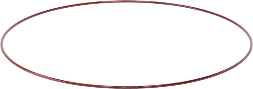 Kimyasala Dayanıklı FEP Kaplı Silikon O-Ring, Düşük Sıcaklık, 1/8 Kesirli Genişlik, Dash No. 279