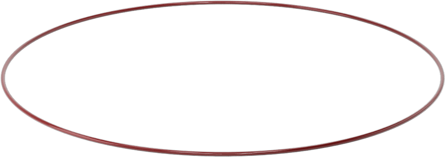 Kimyasala Dayanıklı FEP Kaplı Silikon O-Ring, Düşük Sıcaklık, 1/8 Kesirli Genişlik, Dash No. 280
