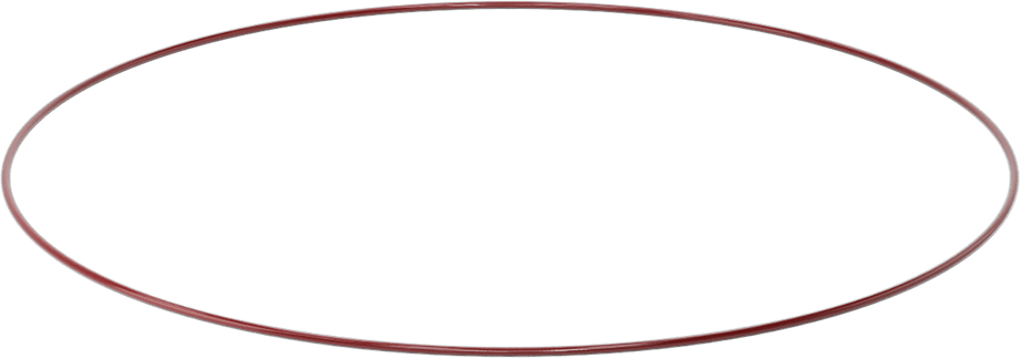 Kimyasala Dayanıklı FEP Kaplı Silikon O-Ring, Düşük Sıcaklık, 1/8 Kesirli Genişlik, Dash No. 281