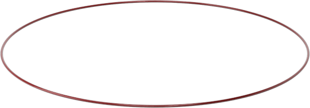 Kimyasala Dayanıklı FEP Kaplı Silikon O-Ring, Düşük Sıcaklık, 1/8 Kesirli Genişlik, Dash No. 282