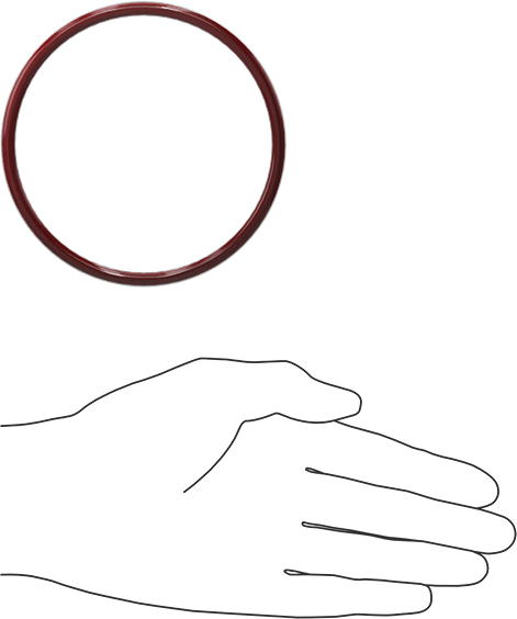 Kimyasala Dayanıklı FEP Kaplı Silikon O-Ring, Düşük Sıcaklık, 3/16 Kesirli Genişlik, Dash No. 342