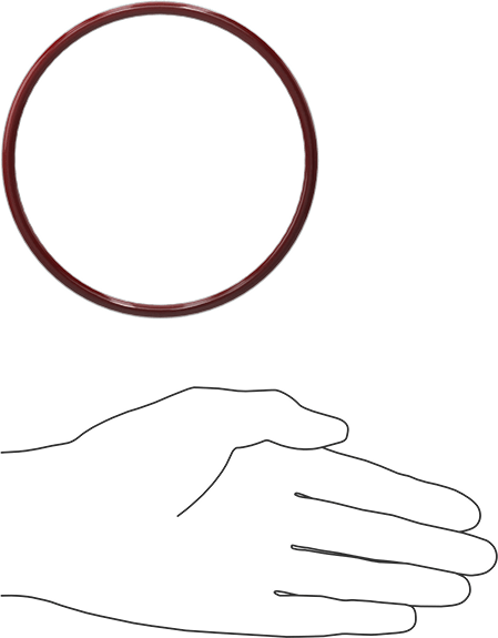 Kimyasala Dayanıklı FEP Kaplı Silikon O-Ring, Düşük Sıcaklık, 3/16 Kesirli Genişlik, Dash No. 347