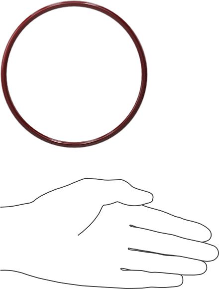 Kimyasala Dayanıklı FEP Kaplı Silikon O-Ring, Düşük Sıcaklık, 3/16 Kesirli Genişlik, Dash No. 349