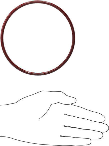 Kimyasala Dayanıklı FEP Kaplı Silikon O-Ring, Düşük Sıcaklık, 3/16 Kesirli Genişlik, Dash No. 350