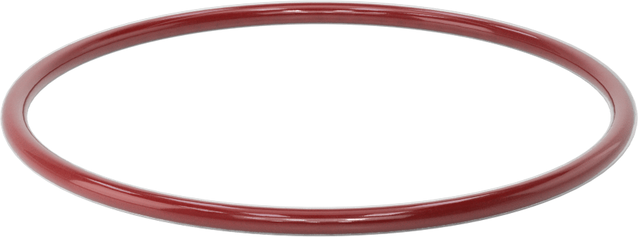 Kimyasala Dayanıklı FEP Kaplı Silikon O-Ring, Düşük Sıcaklık, 3/16 Kesirli Genişlik, Dash No. 351