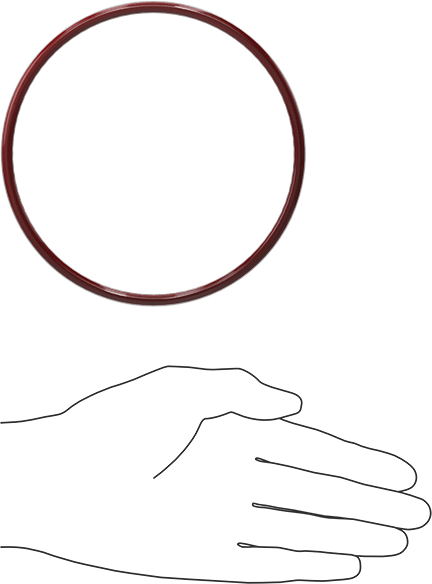 Kimyasala Dayanıklı FEP Kaplı Silikon O-Ring, Düşük Sıcaklık, 3/16 Kesirli Genişlik, Dash No. 351