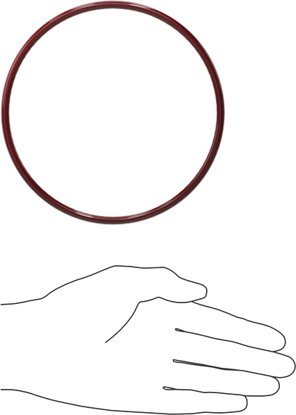 Kimyasala Dayanıklı FEP Kaplı Silikon O-Ring, Düşük Sıcaklık, 3/16 Kesirli Genişlik, Dash No. 354