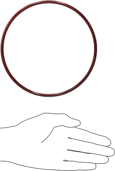 Kimyasala Dayanıklı FEP Kaplı Silikon O-Ring, Düşük Sıcaklık, 3/16 Kesirli Genişlik, Dash No. 359