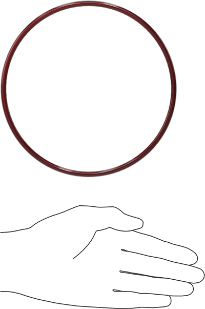 Kimyasala Dayanıklı FEP Kaplı Silikon O-Ring, Düşük Sıcaklık, 3/16 Kesirli Genişlik, Dash No. 360